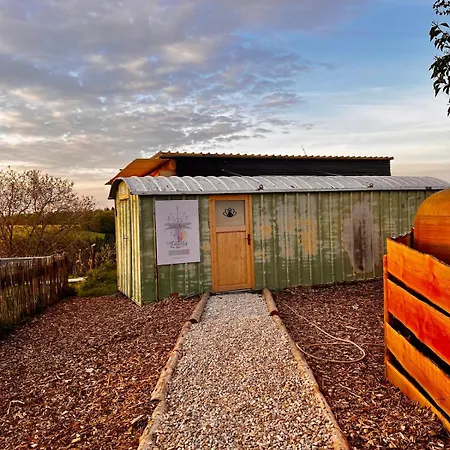 Vacation Nature Oasis 度假居 Sosberg