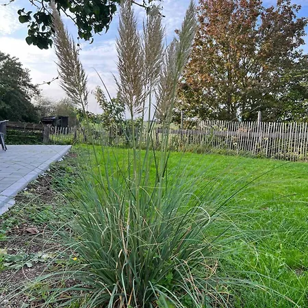 Vacation Nature Oasis