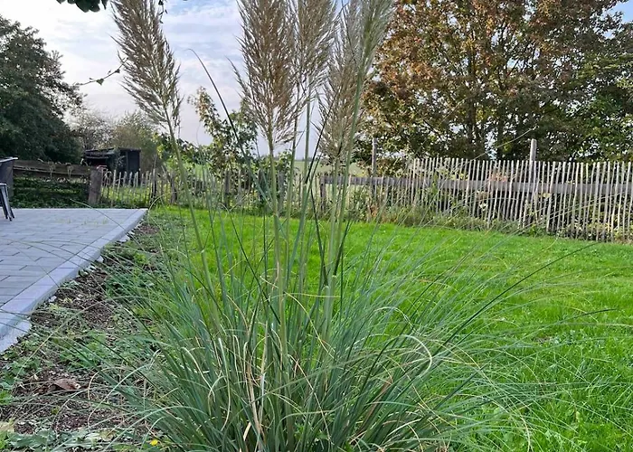 Vacation Nature Oasis